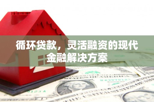 平镇循环贷款，灵活融资的现代金融解决方案