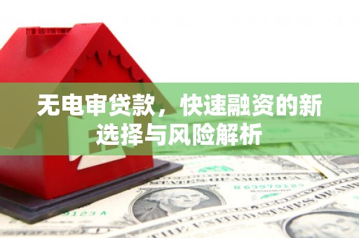 平镇无电审贷款，快速融资的新选择与风险解析
