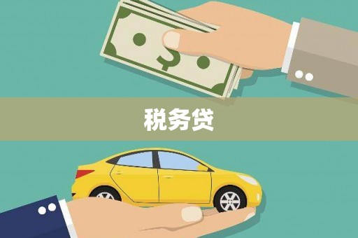 平镇税务贷