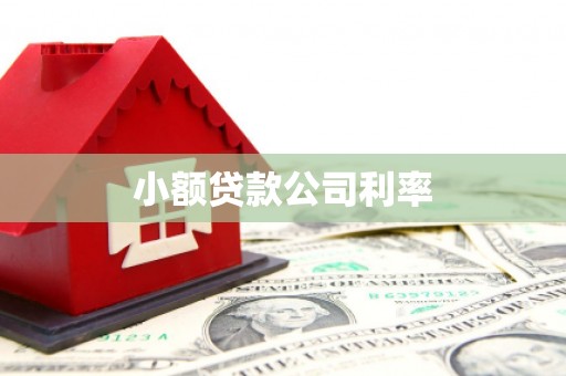 平镇小额贷款公司利率
