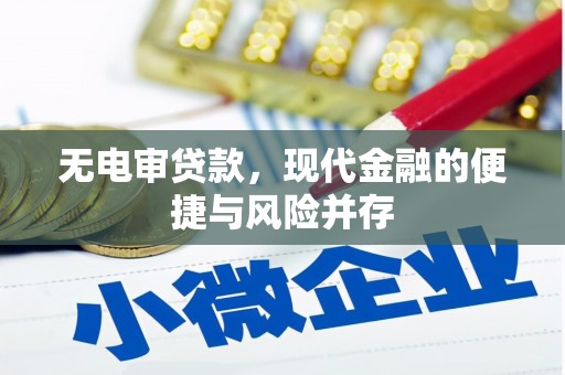 平镇无电审贷款，现代金融的便捷与风险并存