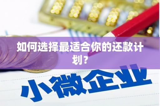 平镇如何选择最适合你的还款计划？