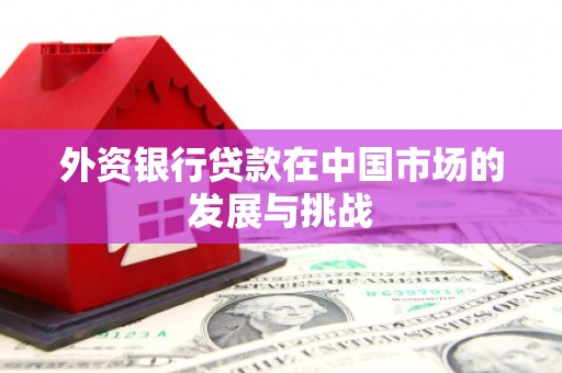 平镇外资银行贷款在中国市场的发展与挑战