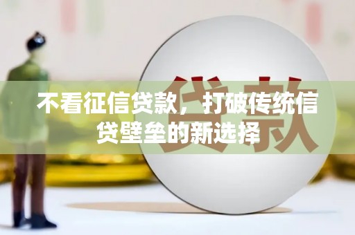 平镇不看征信贷款，打破传统信贷壁垒的新选择