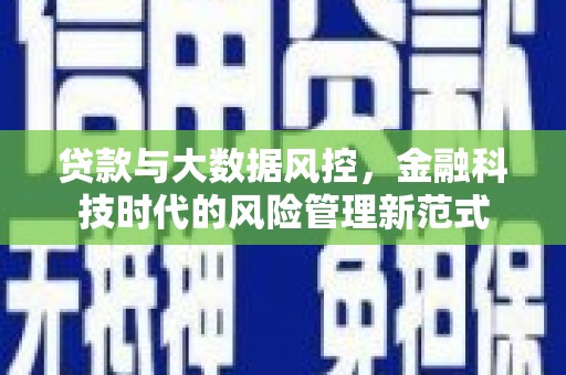 平镇贷款与大数据风控，金融科技时代的风险管理新范式