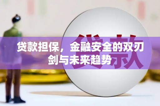 平镇贷款担保，金融安全的双刃剑与未来趋势