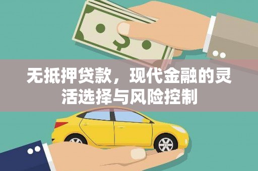 平镇无抵押贷款，现代金融的灵活选择与风险控制