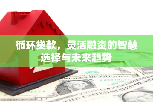 平镇循环贷款，灵活融资的智慧选择与未来趋势
