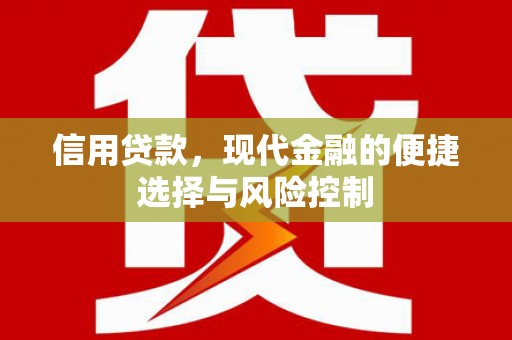 平镇信用贷款，现代金融的便捷选择与风险控制