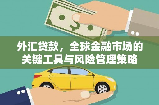 平镇外汇贷款，全球金融市场的关键工具与风险管理策略