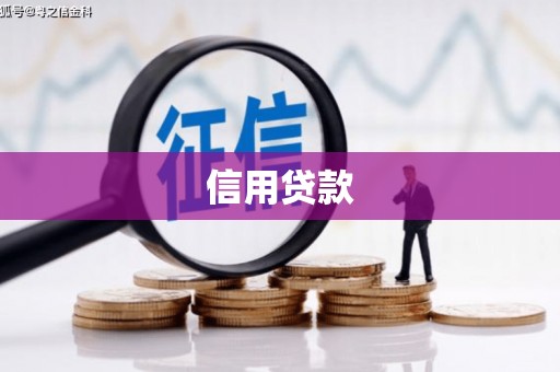 平镇信用贷款