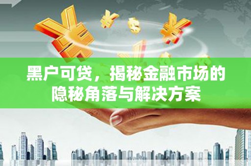 平镇黑户可贷，揭秘金融市场的隐秘角落与解决方案