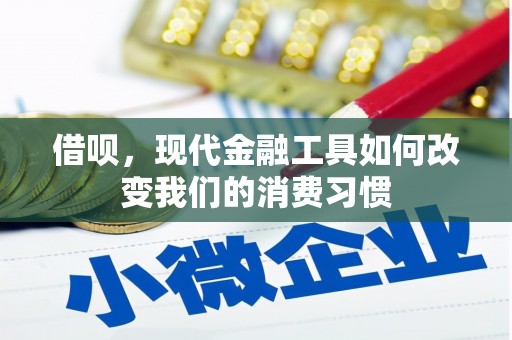 平镇借呗，现代金融工具如何改变我们的消费习惯