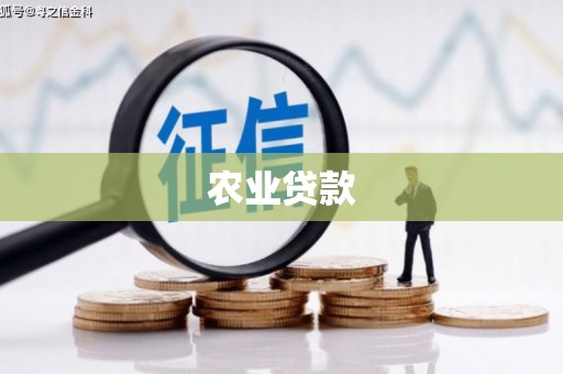 平镇农业贷款