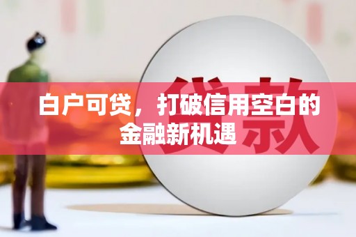 平镇白户可贷，打破信用空白的金融新机遇