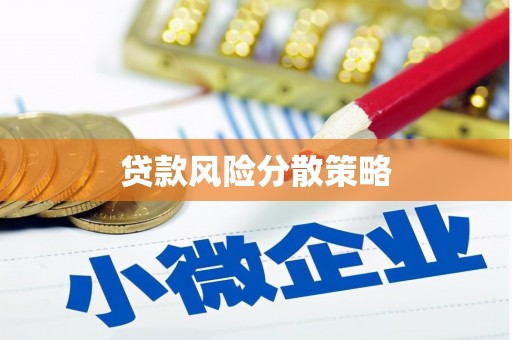 平镇贷款风险分散策略