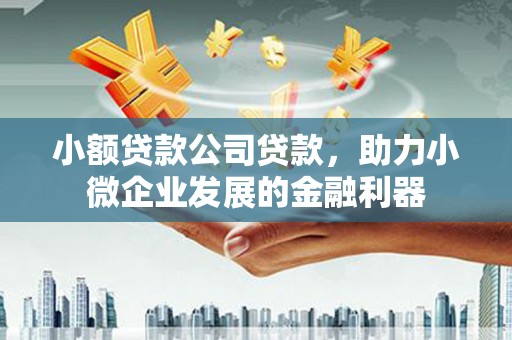 平镇小额贷款公司贷款，助力小微企业发展的金融利器