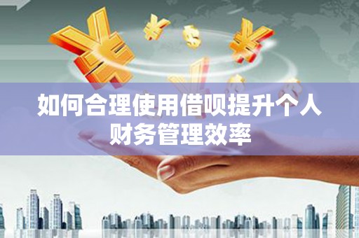 平镇如何合理使用借呗提升个人财务管理效率