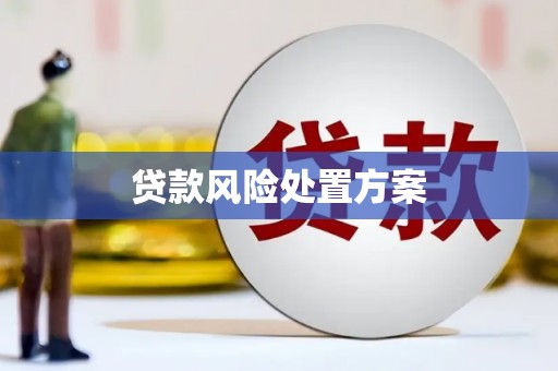 平镇贷款风险处置方案