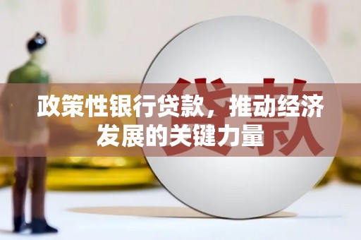 平镇政策性银行贷款，推动经济发展的关键力量