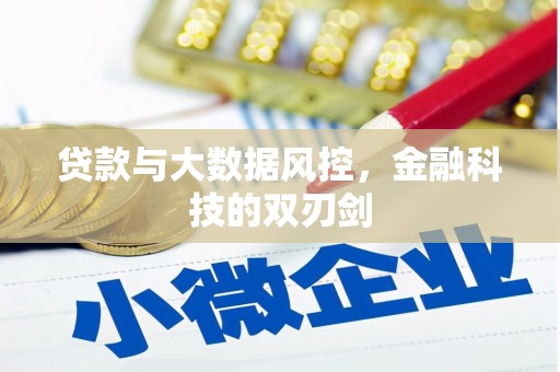 平镇贷款与大数据风控，金融科技的双刃剑