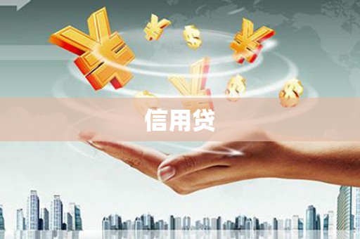 平镇信用贷