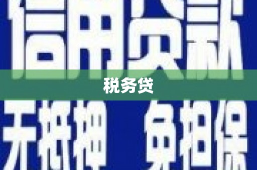 平镇税务贷