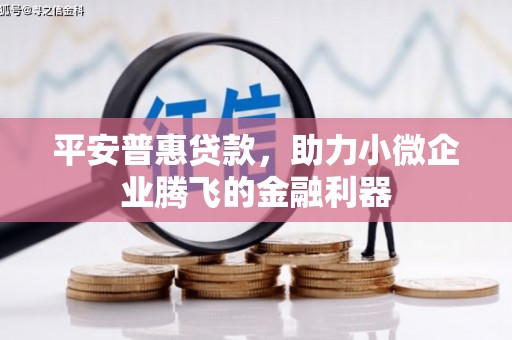 平镇平安普惠贷款，助力小微企业腾飞的金融利器