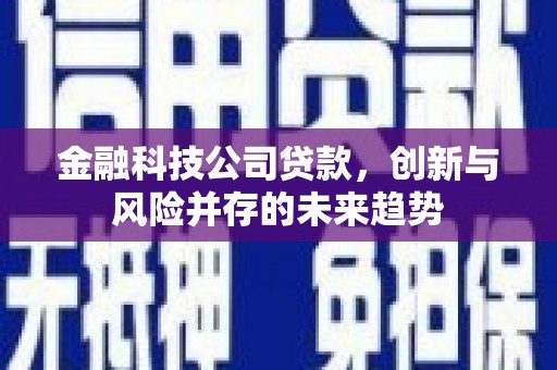 平镇金融科技公司贷款，创新与风险并存的未来趋势