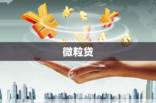 平镇微粒贷