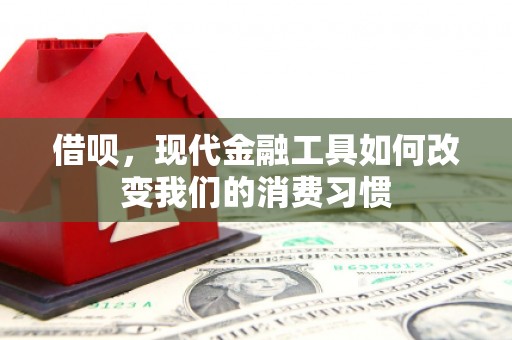 平镇借呗，现代金融工具如何改变我们的消费习惯