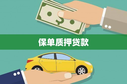平镇保单质押贷款