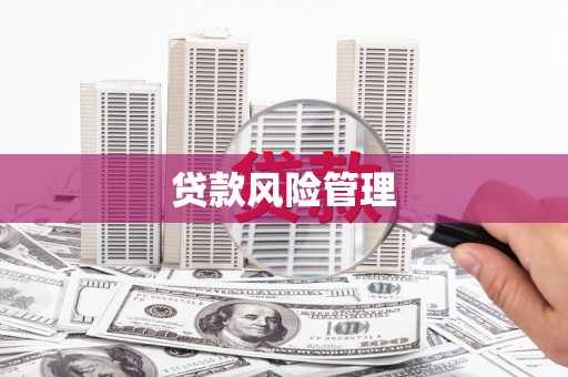 平镇贷款风险管理