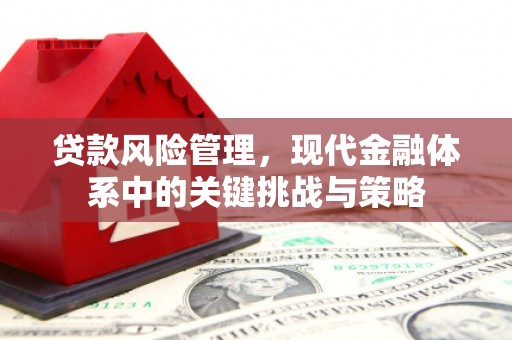 平镇贷款风险管理，现代金融体系中的关键挑战与策略