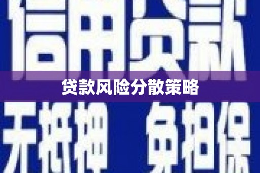 平镇贷款风险分散策略