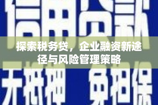 平镇探索税务贷，企业融资新途径与风险管理策略