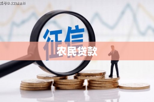 平镇农民贷款