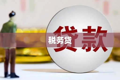 平镇税务贷