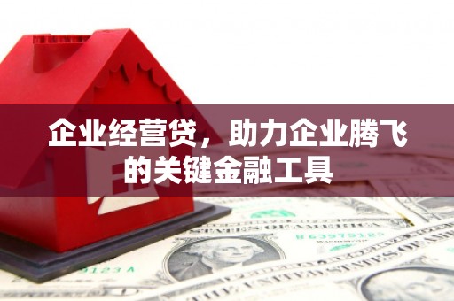 平镇企业经营贷，助力企业腾飞的关键金融工具