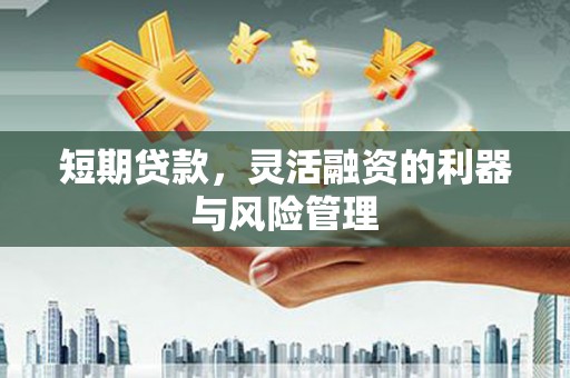 平镇短期贷款，灵活融资的利器与风险管理