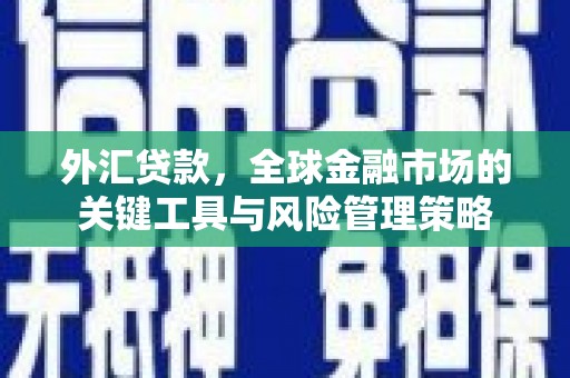 平镇外汇贷款，全球金融市场的关键工具与风险管理策略