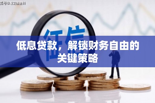平镇低息贷款，解锁财务自由的关键策略