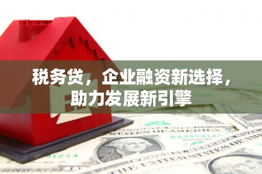 平镇税务贷，企业融资新选择，助力发展新引擎