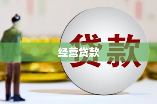 平镇经营贷款