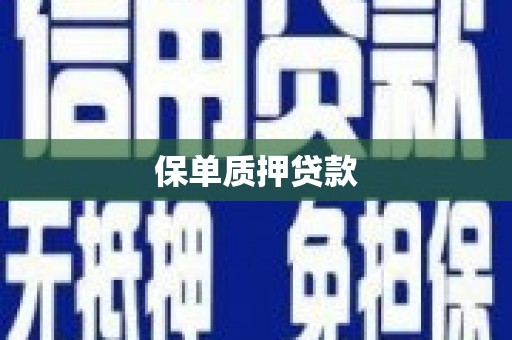 平镇保单质押贷款
