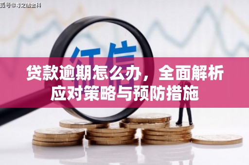 平镇贷款逾期怎么办，全面解析应对策略与预防措施