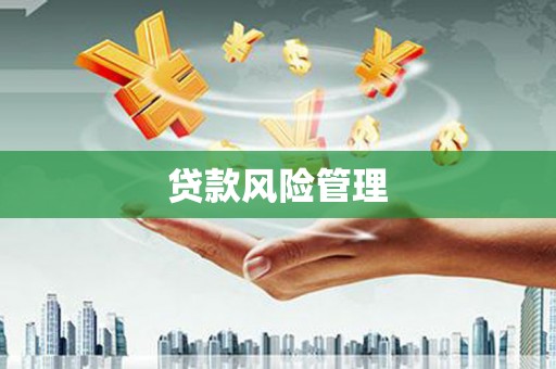 平镇贷款风险管理