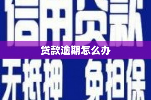 平镇贷款逾期怎么办