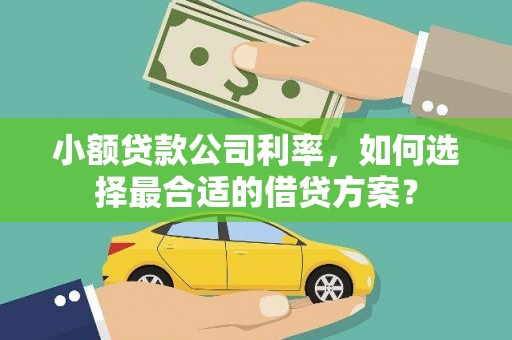 平镇小额贷款公司利率，如何选择最合适的借贷方案？