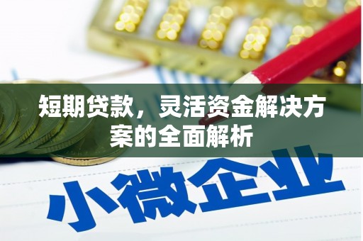 平镇短期贷款，灵活资金解决方案的全面解析